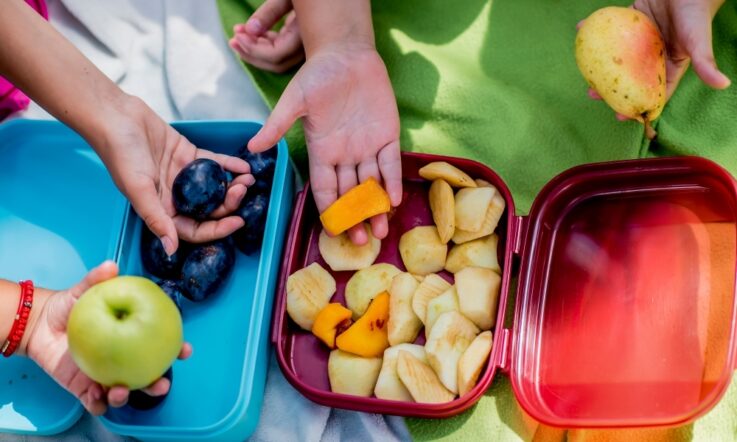 Mengintegrasikan tugas algoritma ke dalam pengajaran di tahun-tahun awal sekolah